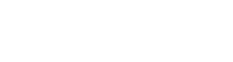 Total Card Visa Logo White